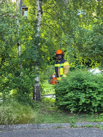 Kettensäge Handhabung