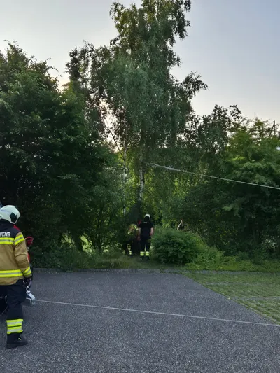 Kettensägen-Technik