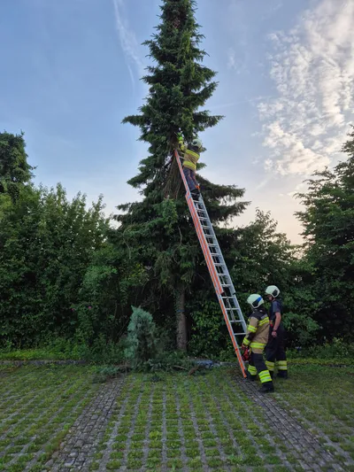 Schneidtechniken erlernen