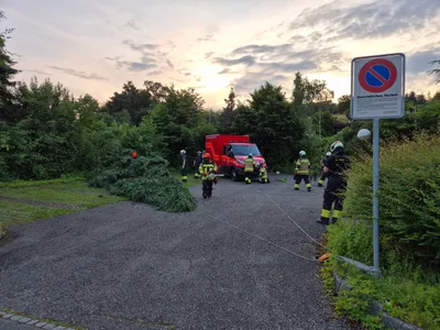 Training Abschluss