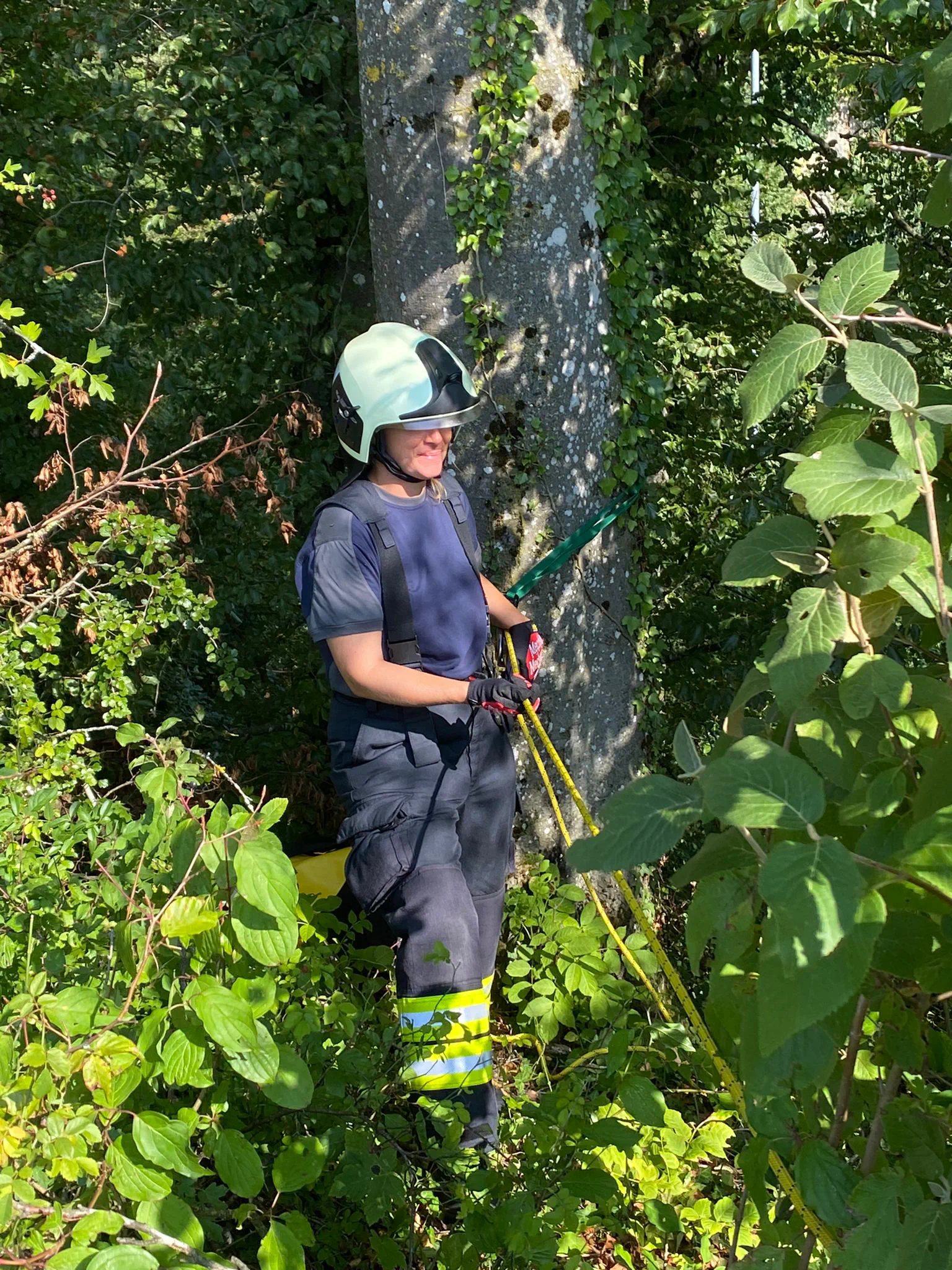 Grundlagen Training